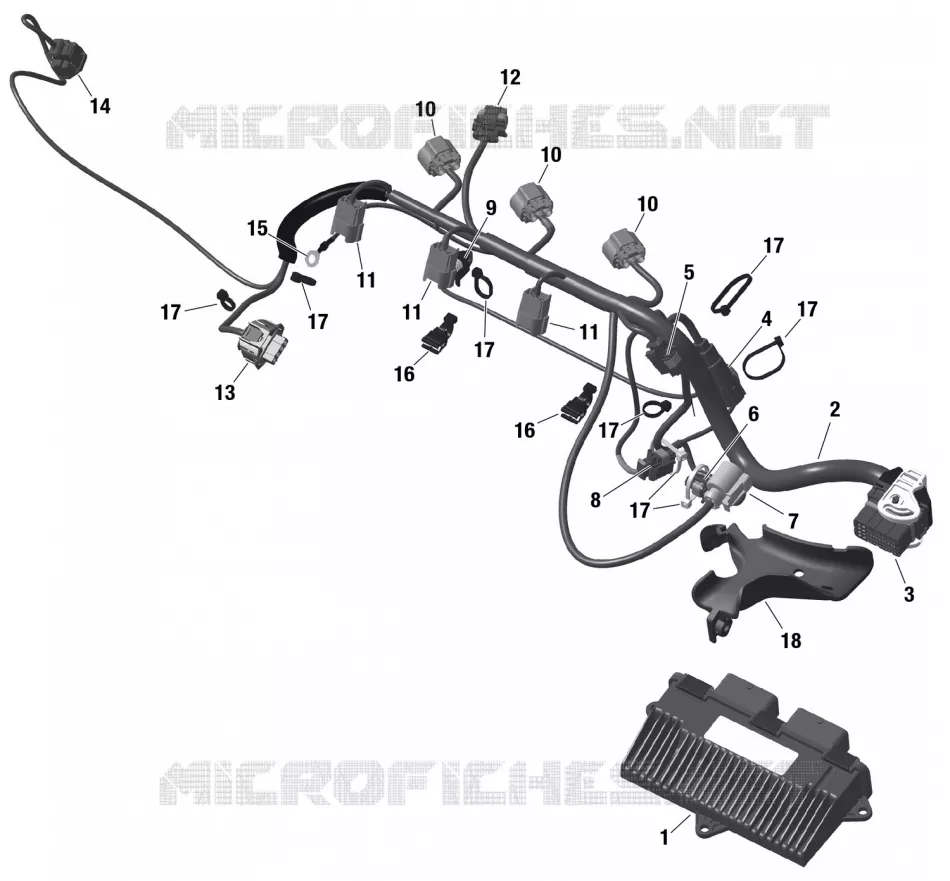 01- ROTAX - Engine Harness And Electronic Module