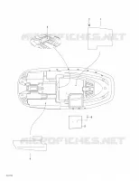 Coque Inférieure