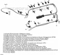 Câblage Moteur