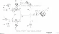 Câblage Électrique Steering
