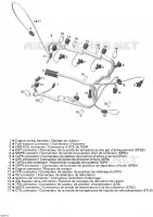Câblage moteur