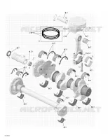 Vilebrequin, Pistons, Arbre De Balancement