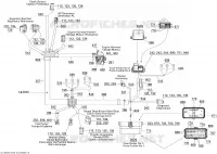 Câblage Électrique