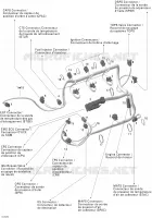 Câblage Moteur Rotax