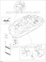 Coque Inférieure Et Échelle