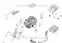 Moteur - RXP-X 300