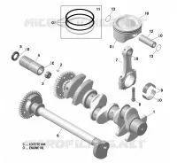 Vilebrequin, Pistons Et Arbre De Balancement