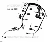 Câblage Moteur