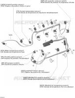 Câblage moteur