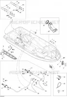 Coque