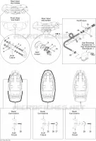 Coque 1