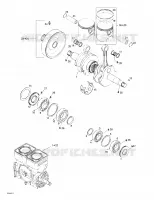 Vilebrequin Et Pistons
