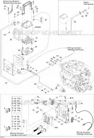 Système Électrique