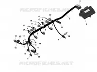 Rotax - Câblage Moteur Et Module Électronique Sans IDF