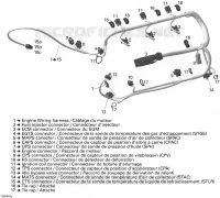 Câblage Moteur