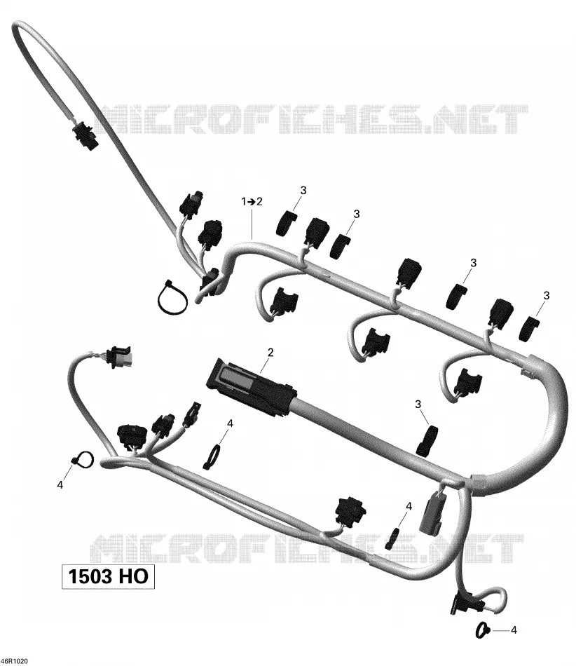 Câblage Moteur