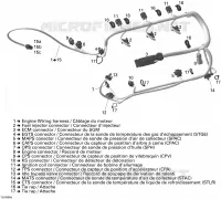 Câblage Électrique