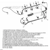 Câblage Moteur 1