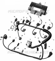 Câblage Moteur Et Module Électronique