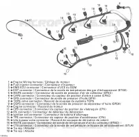Câblage Moteur
