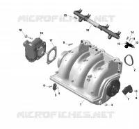 Rotax - Collecteur Admission Air Et Carter De Papillon