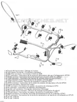 Câblage Moteur ED1