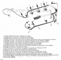 Câblage Moteur 1