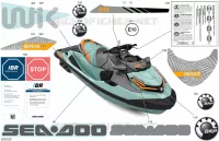 BODY - DECALS