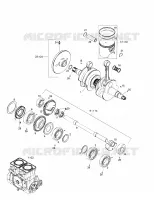 Vilebrequin Et Pistons
