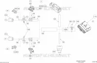 Câblage Électrique Steering
