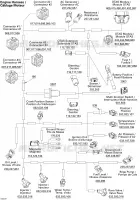 Câblage Électrique