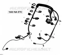 Câblage Moteur