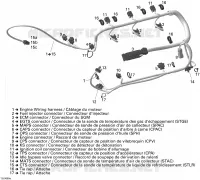 Câblage Électrique