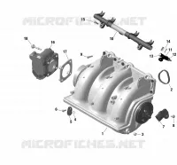 Rotax - Collecteur Admission Air Et Carter De Papillon
