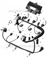 Câblage Moteur Et Module Électronique