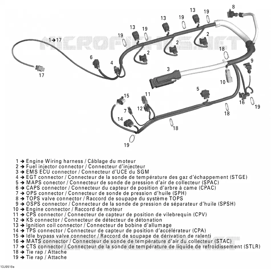 Câblage Moteur 1