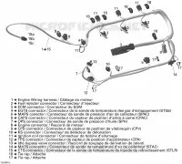 Câblage Moteur