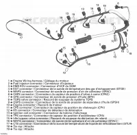 Câblage Moteur