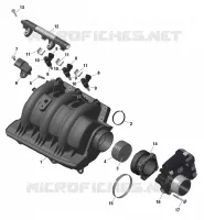 01- ROTAX - Air Intake Manifold And Throttle Body