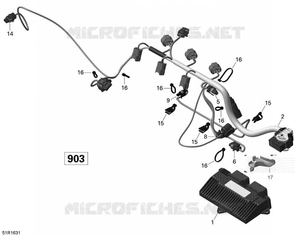 Câblage Moteur et Module Électronique - 900 HO ACE