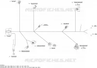 Câblage Électrique - Harnais Principal