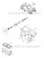 Carter, Valve Rotative