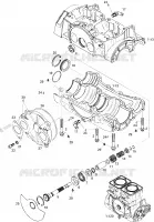 Carter Et Valve Rotative