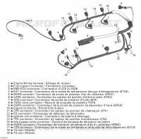 Câblage Moteur 1