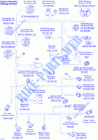 Câblage Électrique pour Sea-Doo 3D RFI ( FUEL INJECTION ) de 2004
