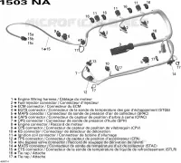 Câblage Moteur pour Sea-Doo 00- Numéros de modèle de 2007