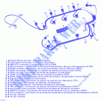 Câblage Moteur 1 pour Sea-Doo 00- Numéros de modèle Edition 1 de 2006