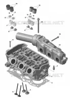 01  ROTAX   Cylinder Head pour Sea-Doo SPARK TRIXX 2UP de 2023