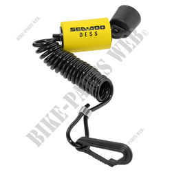 SAFETY LANYARD, ANTITHEFT